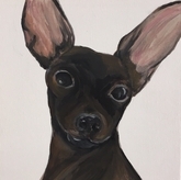 coco