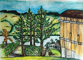 mission hill