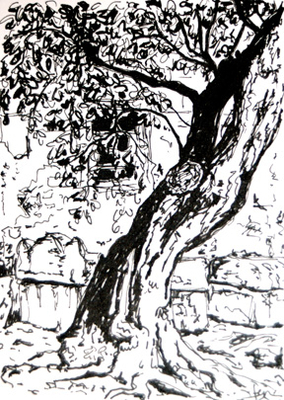 old tree