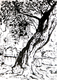 old tree