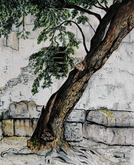 old tree (ink & wc)