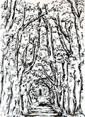 under the canopy