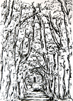 under the canopy