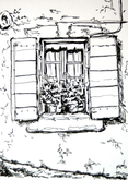 window and shutters