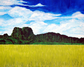 yellow field I
